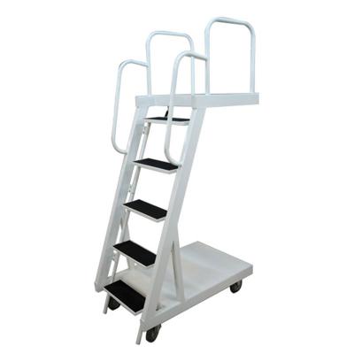 Ladder Trolley